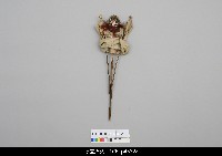 北京杖頭戲偶-花臉藏品圖，第2張